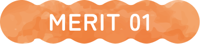 MERIT 01