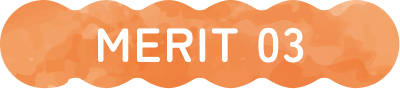 MERIT 03